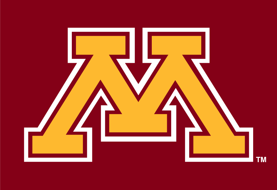 Minnesota Golden Gophers 1986-Pres Alternate Logo v3 diy DTF decal sticker